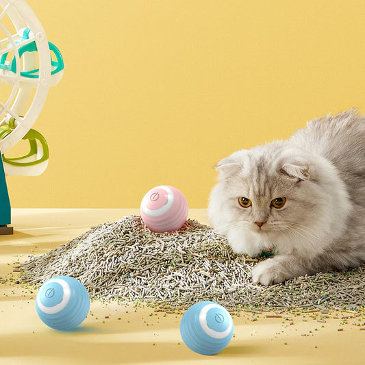 RolliPlay: Automatic Rechargeable Rolling Ball for Interactive Cat Fun