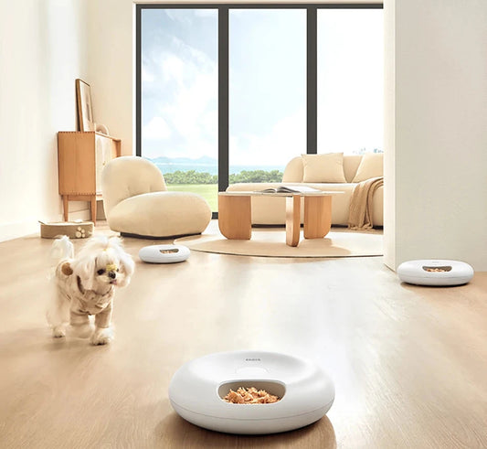 MealMate Pro: 6-Compartment Smart Pet Feeder for Fresh Meals Anytime